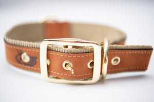 Jarrett Bay Leather Dog Collar