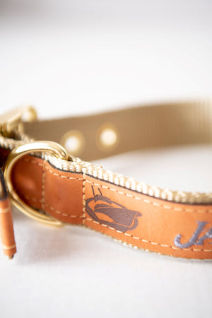 Jarrett Bay Leather Dog Collar